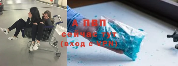 ешки Беломорск