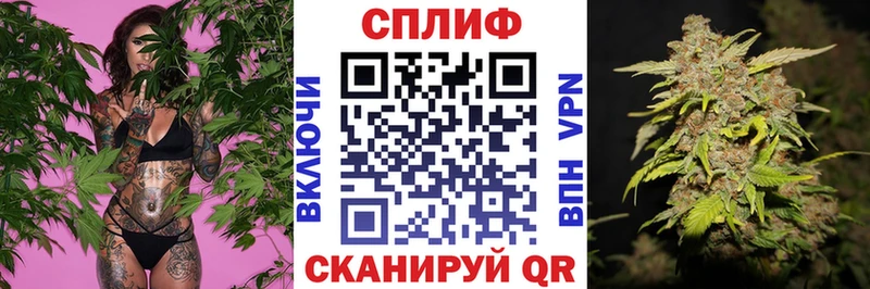 цена   Севск  Каннабис семена 